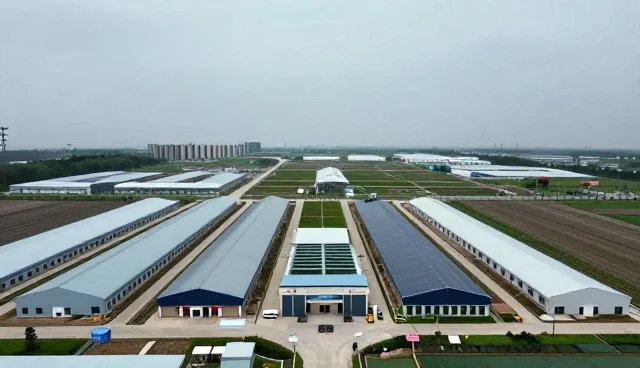 技术适配性在业务中的关键作用与发展趋势